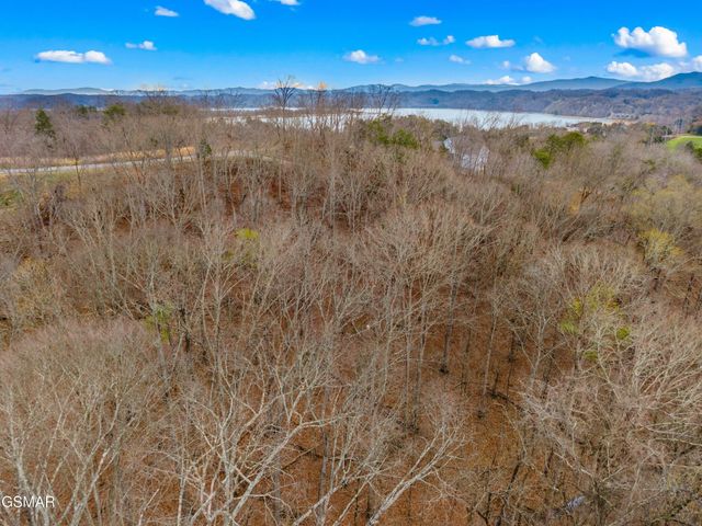 1530 Waterside Cove Drive, Dandridge, TN 37725