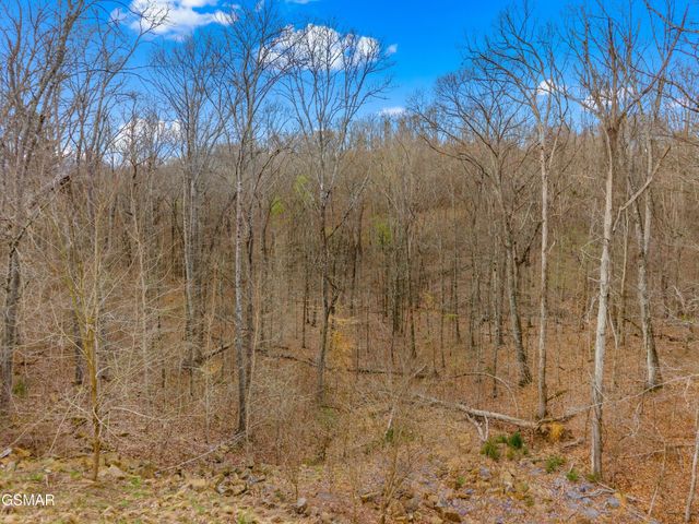 1530 Waterside Cove Drive, Dandridge, TN 37725