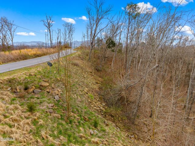 1530 Waterside Cove Drive, Dandridge, TN 37725