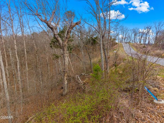 1530 Waterside Cove Drive, Dandridge, TN 37725