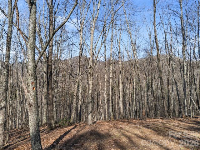 9999 Hidden Cove Road, Leicester, NC 28748