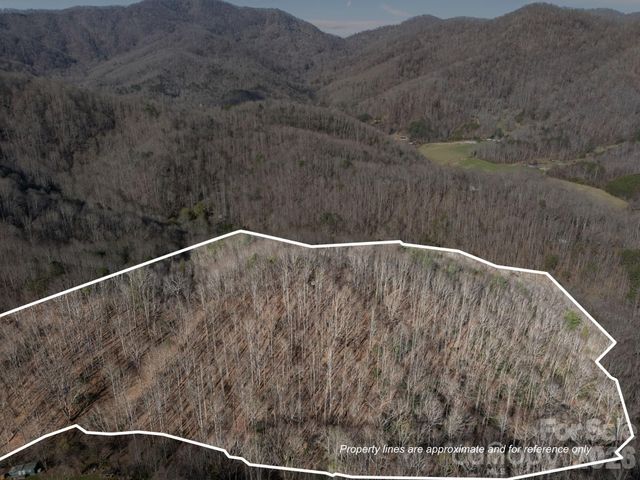 9999 Hidden Cove Road, Leicester, NC 28748