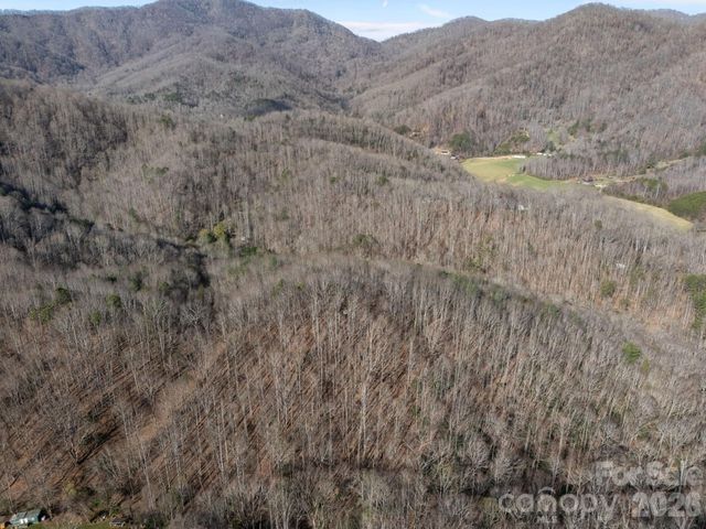 9999 Hidden Cove Road, Leicester, NC 28748