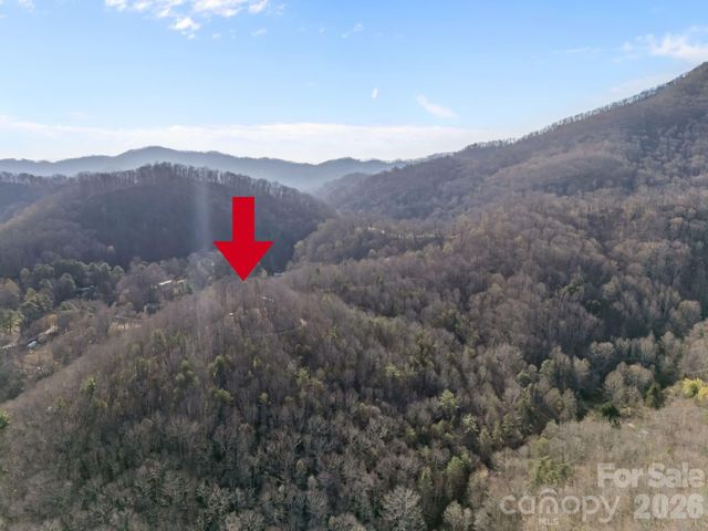 9999 Hidden Cove Road, Leicester, NC 28748
