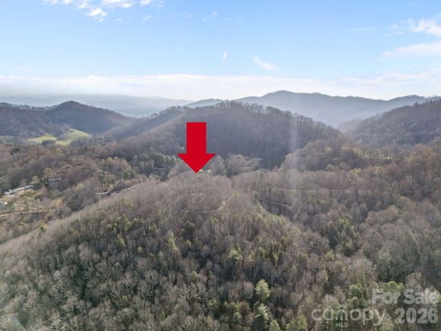 9999 Hidden Cove Road, Leicester, NC 28748