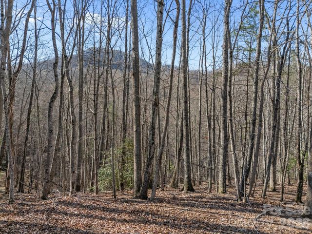 9999 Hidden Cove Road, Leicester, NC 28748
