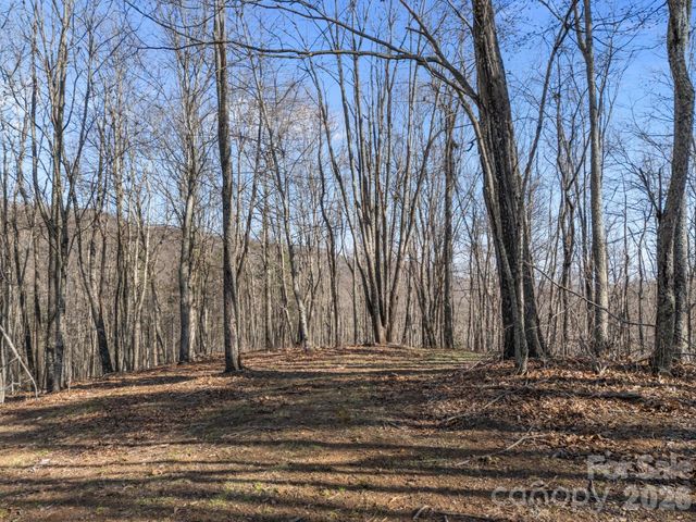 9999 Hidden Cove Road, Leicester, NC 28748