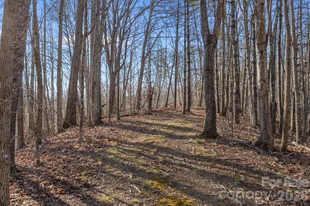 9999 Hidden Cove Road, Leicester, NC 28748