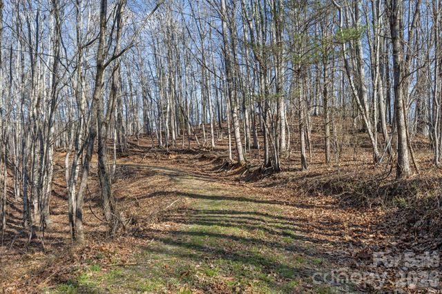 9999 Hidden Cove Road, Leicester, NC 28748