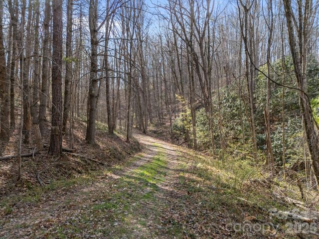 9999 Hidden Cove Road, Leicester, NC 28748