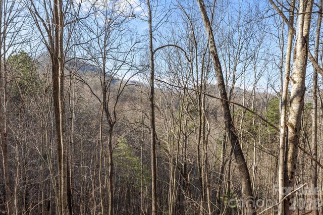 9999 Hidden Cove Road, Leicester, NC 28748