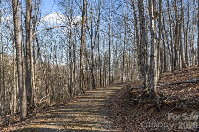 9999 Hidden Cove Road, Leicester, NC 28748