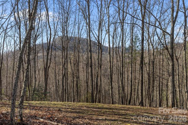 9999 Hidden Cove Road, Leicester, NC 28748