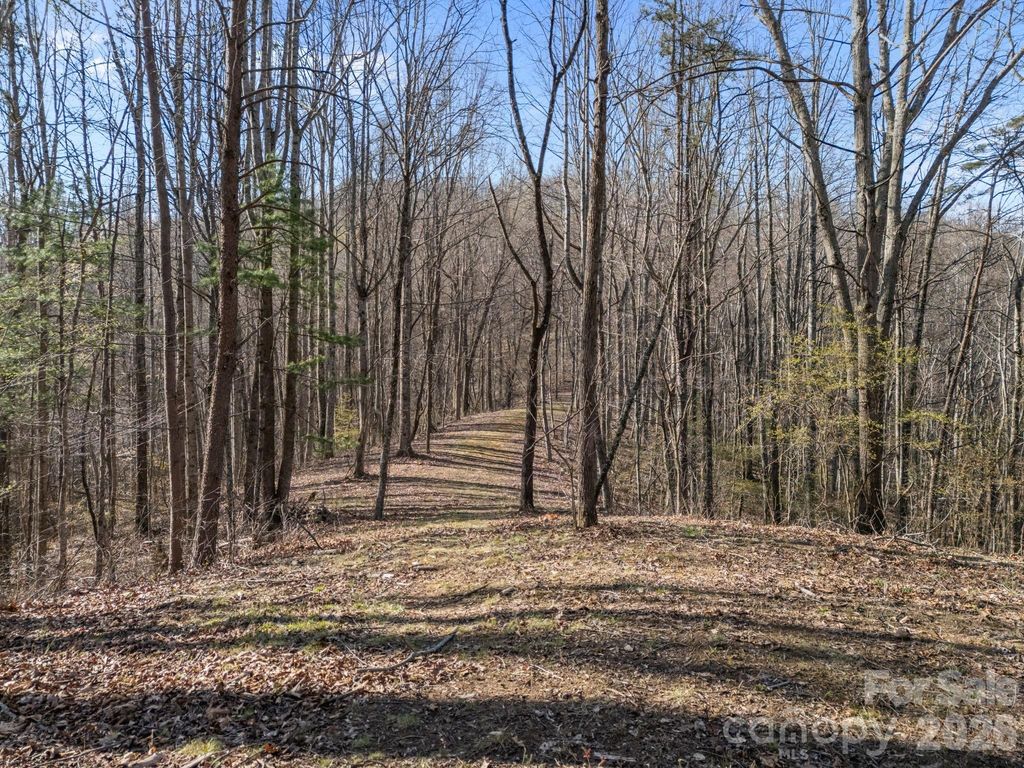 9999 Hidden Cove Road, Leicester, NC 28748