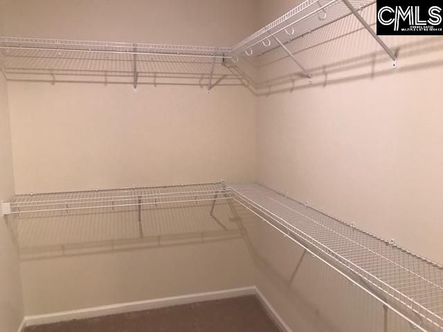 1028 Bergenfield Lane, Chapin, SC 29036