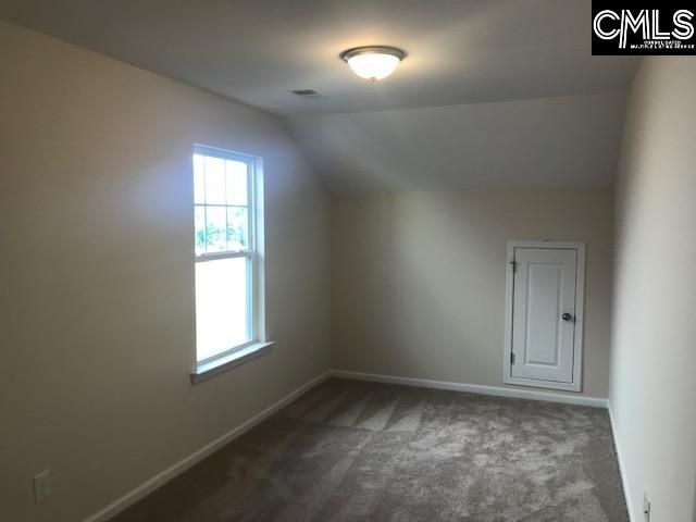 1028 Bergenfield Lane, Chapin, SC 29036