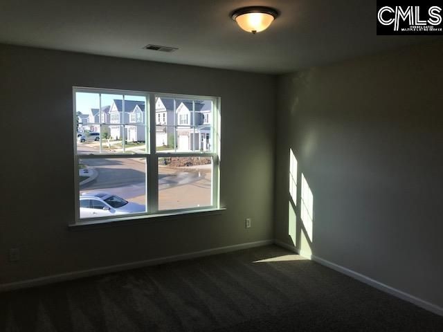 1028 Bergenfield Lane, Chapin, SC 29036