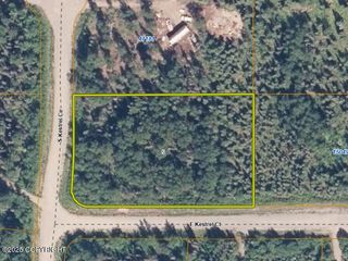 L5 E Kestrel Court, Willow, AK 99688