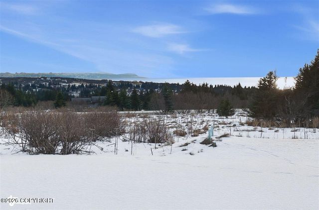 41090 Solstice Drive, Homer, AK 99603