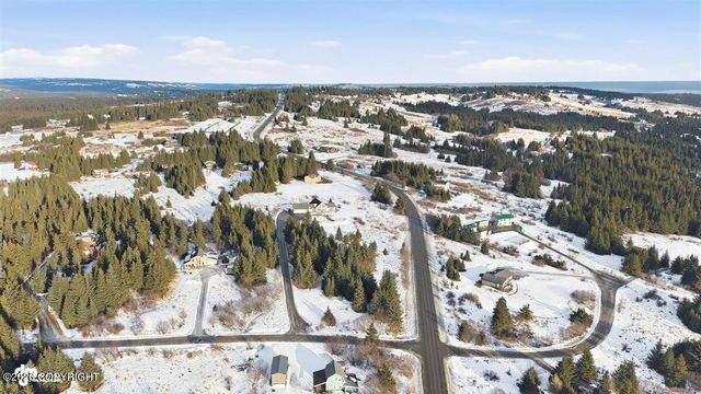 41090 Solstice Drive, Homer, AK 99603