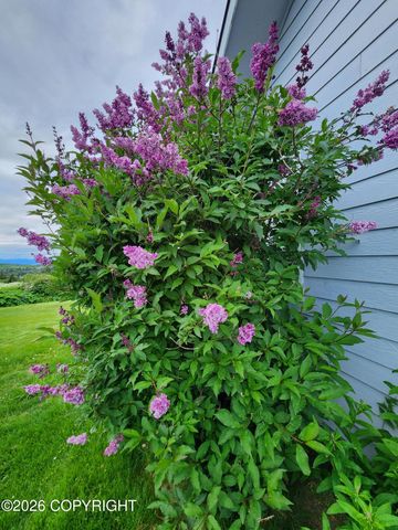 41090 Solstice Drive, Homer, AK 99603