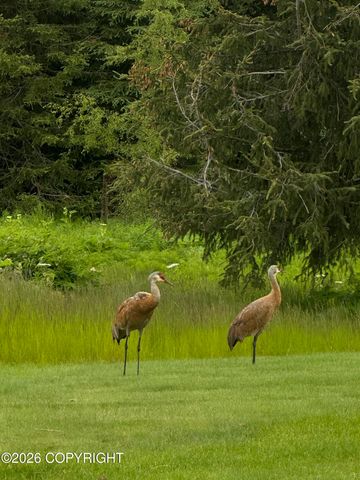 41090 Solstice Drive, Homer, AK 99603