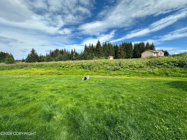 41090 Solstice Drive, Homer, AK 99603