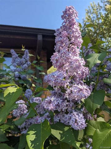 7366 W 75th Avenue, Arvada, CO 80003