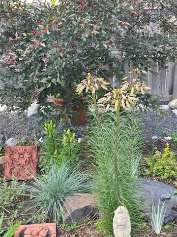 7366 W 75th Avenue, Arvada, CO 80003