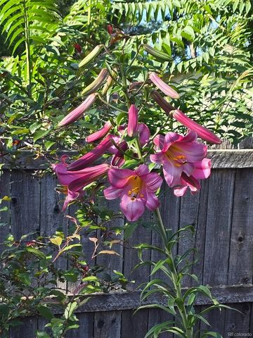 7366 W 75th Avenue, Arvada, CO 80003