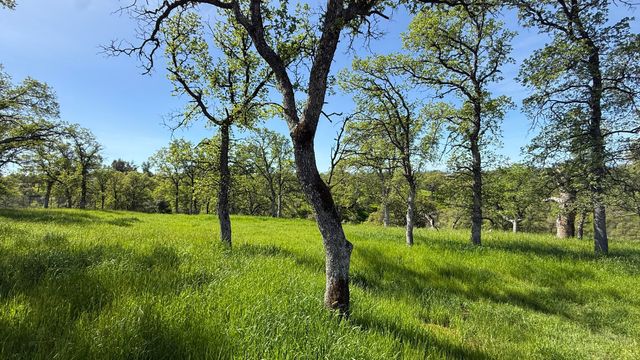 19816 Tedrock Mountain Place, Cottonwood, CA 96022