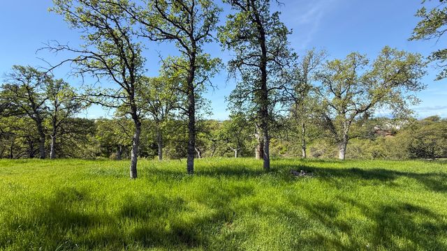 19816 Tedrock Mountain Place, Cottonwood, CA 96022