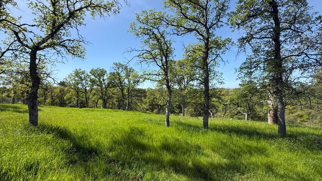 19816 Tedrock Mountain Place, Cottonwood, CA 96022