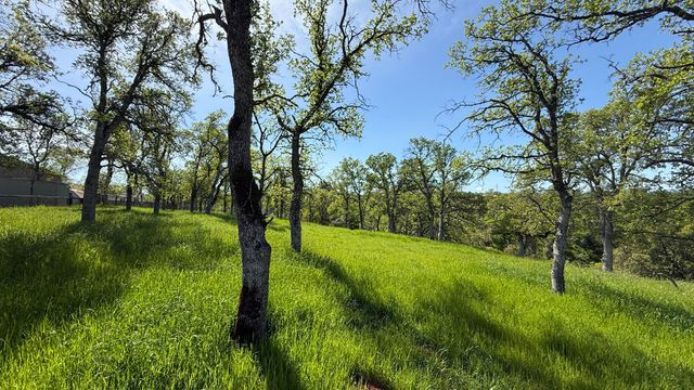 19816 Tedrock Mountain Place, Cottonwood, CA 96022