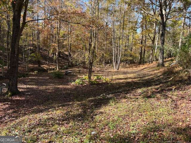 616 Gibson Trail, Jasper, GA 30143