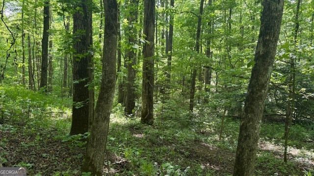 616 Gibson Trail, Jasper, GA 30143