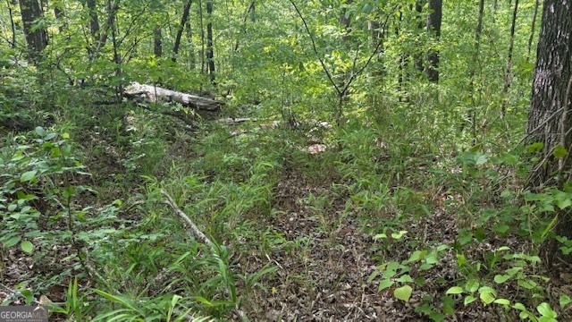 616 Gibson Trail, Jasper, GA 30143