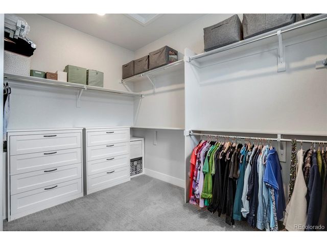11261 Moonshimmer St, Littleton, CO 80125