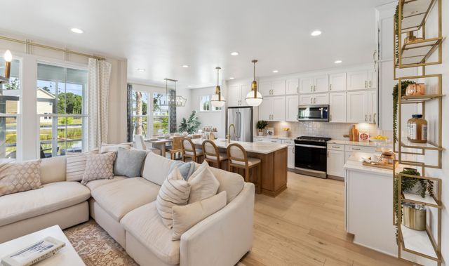 152 Claret Cup Way, Charleston, SC 29414