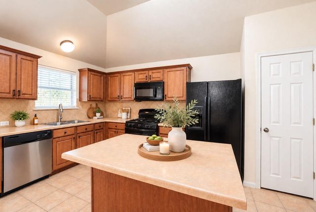 368 AMBER ASH DR, Kyle, TX 78640