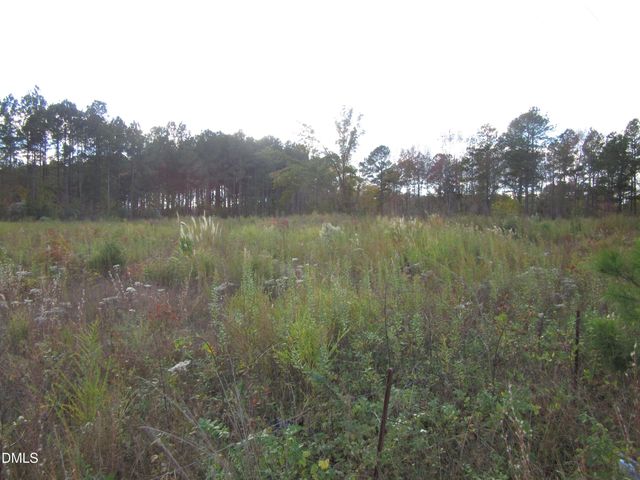 8.78 Acres Riley Hill Rd., Wendell, NC 27591