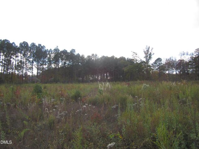 8.78 Acres Riley Hill Rd., Wendell, NC 27591