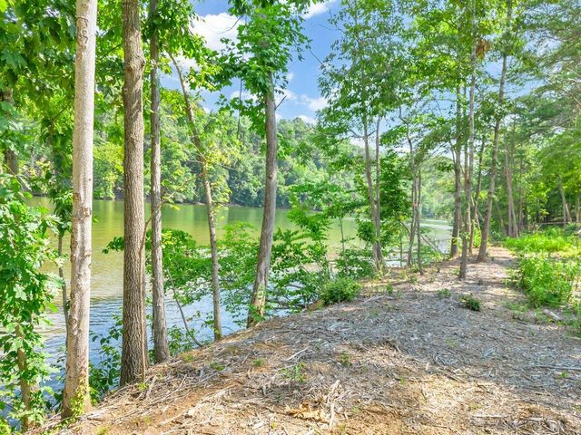 Lot 10 Springsteen CIR, Hardy, VA 24101