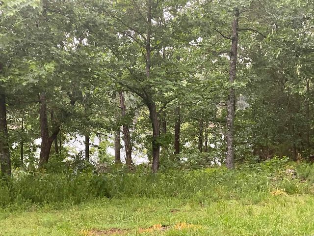 74 Circle Acres, Edgemont, AR 72044