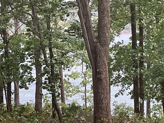 74 Circle Acres, Edgemont, AR 72044