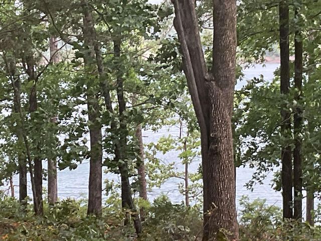 74 Circle Acres, Edgemont, AR 72044