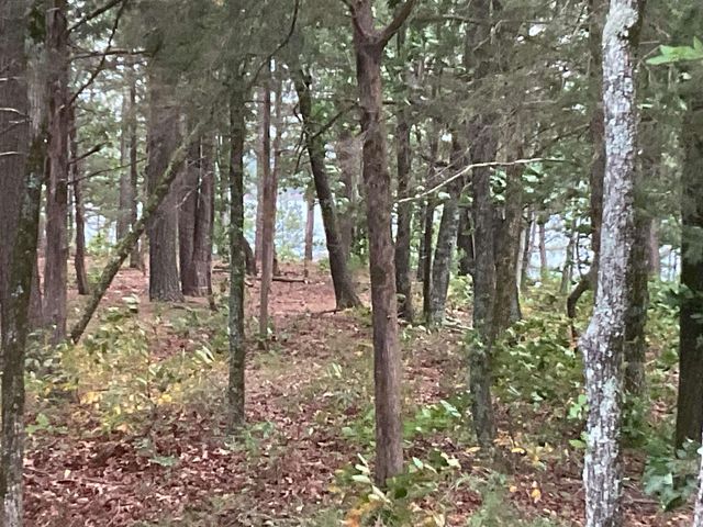 74 Circle Acres, Edgemont, AR 72044