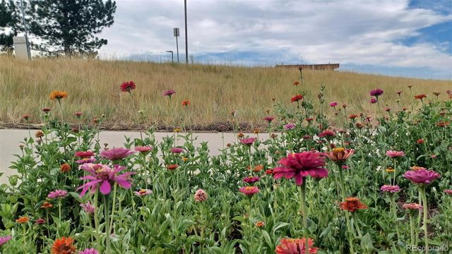 7465 E 157th Place, Thornton, CO 80602
