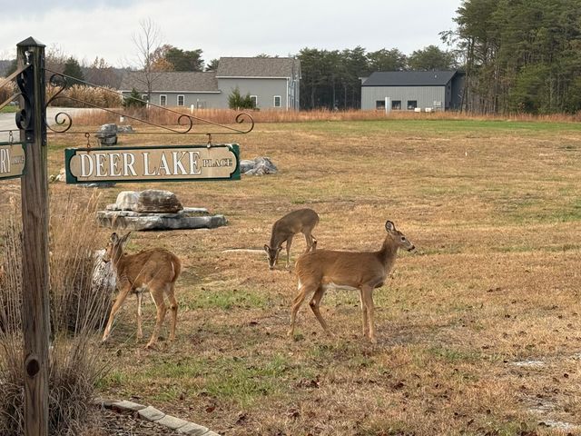 441 Deer Lake Place, Bronston, KY 42518