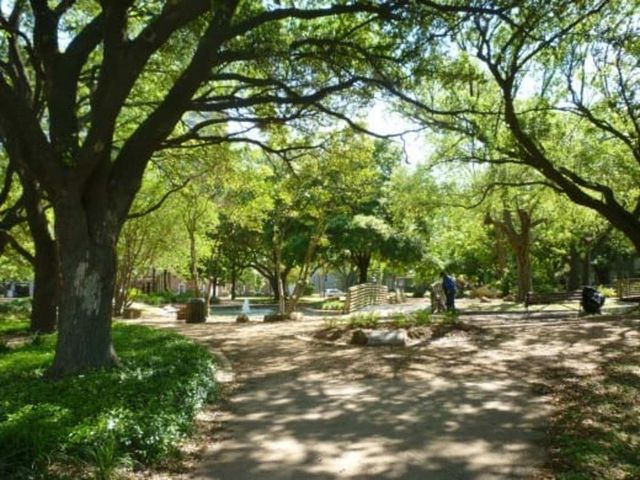 4899 Montrose Boulevard 1408, Houston, TX 77006